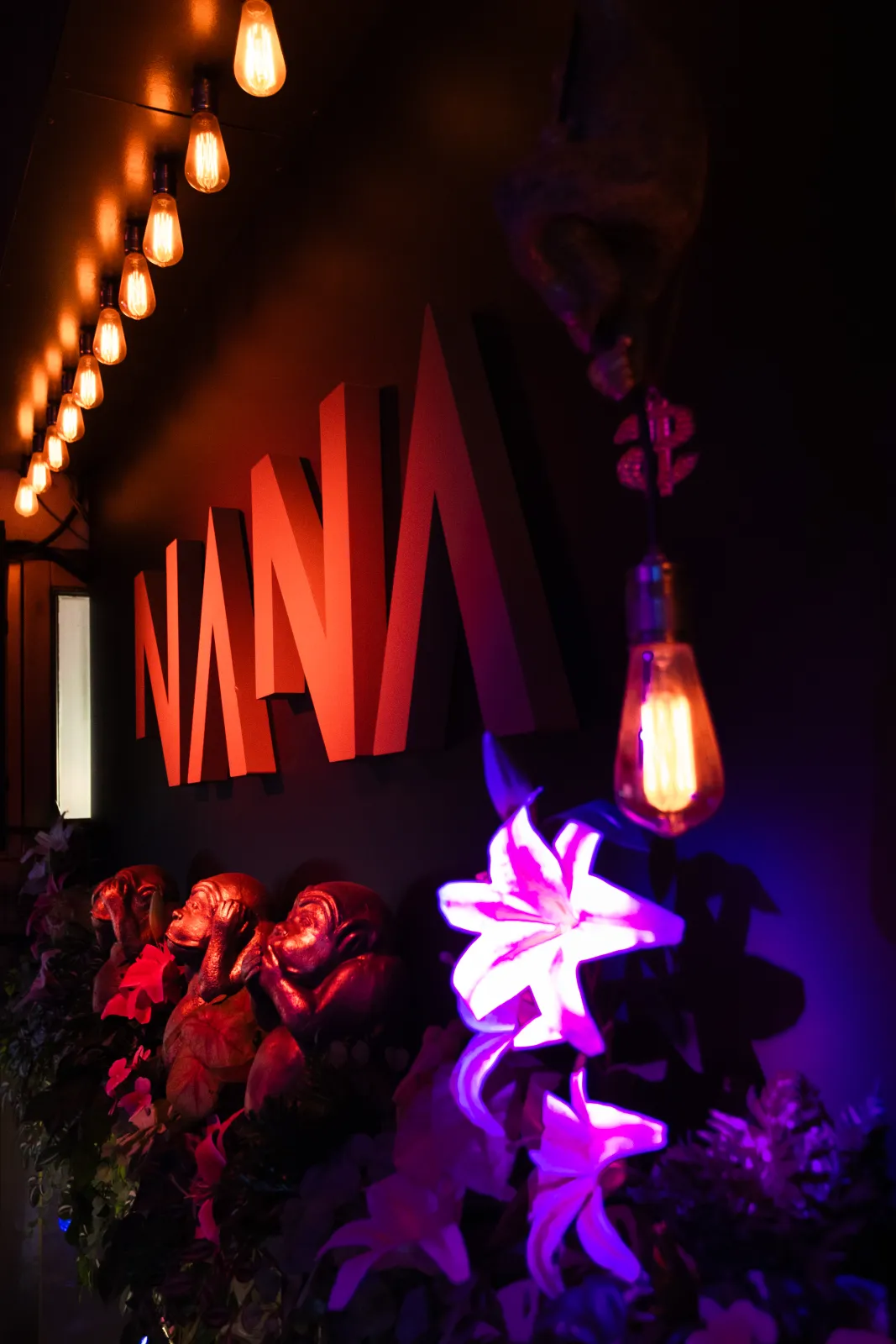 After-dark moments — night crowd